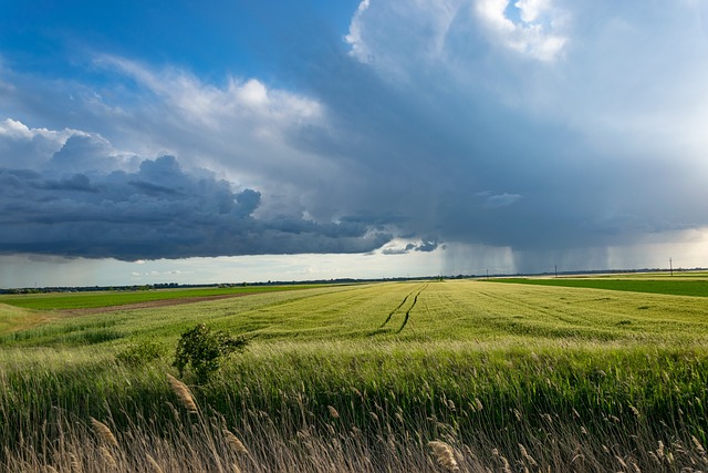 Agriculture Property 4