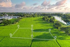 Agriculture Property 3
