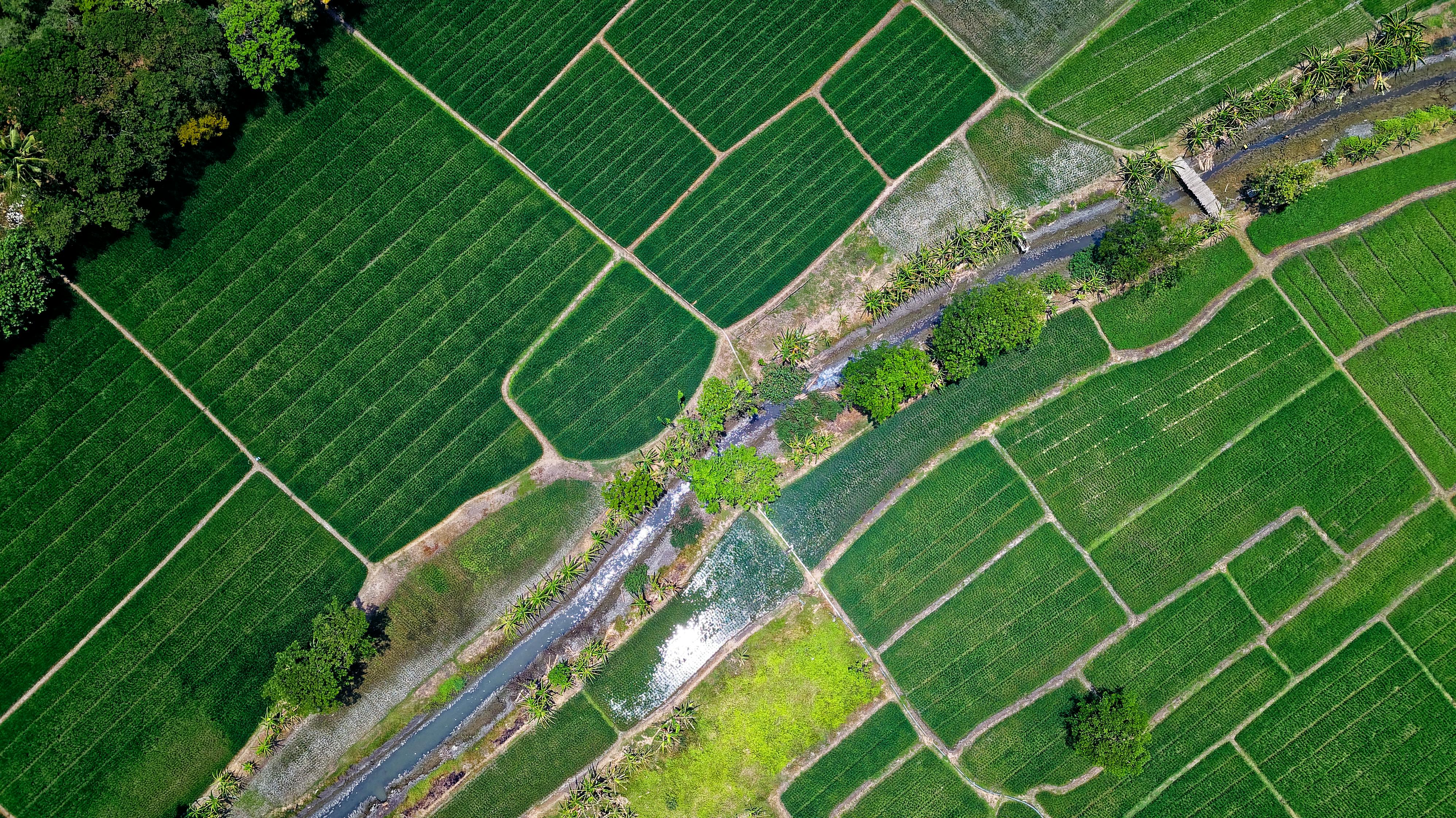 Agriculture Property 2