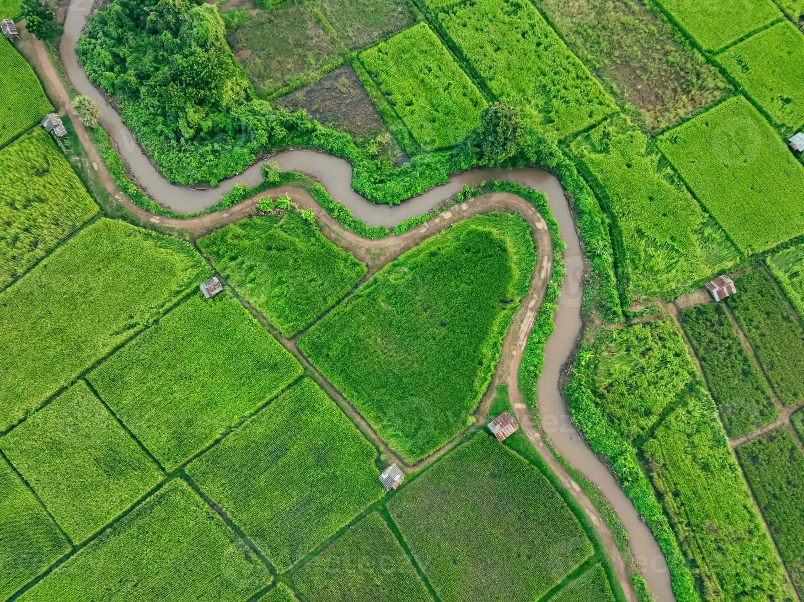 Agricultural land in Dehradun